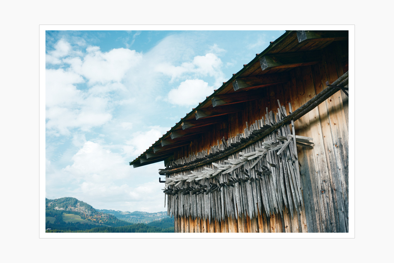 Max Schiefele Alle Bilder DSC00316